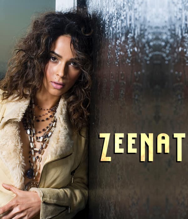 Zeenat (2018) movie poster