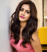 Nabha Natesh