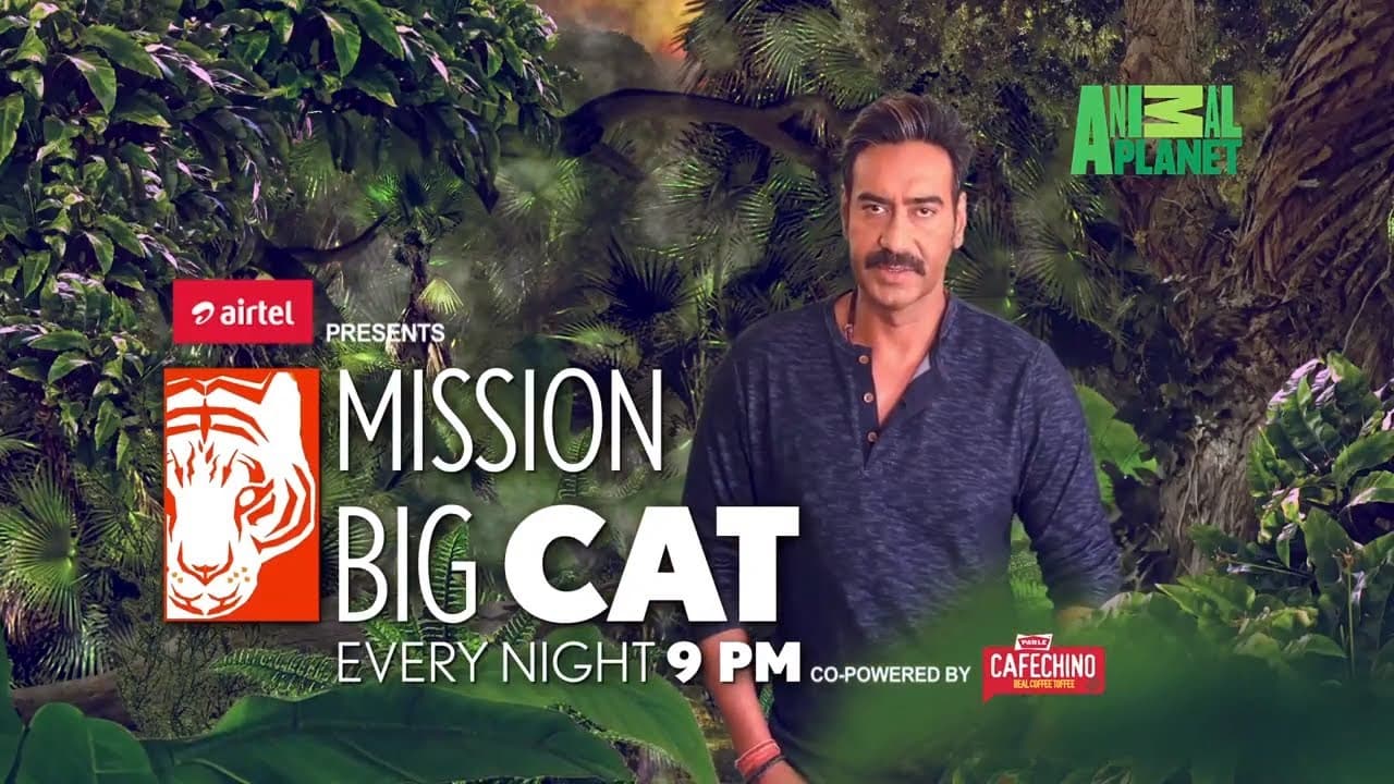 The Big Cat Tvc