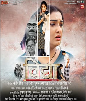 Vidya (2022) movie poster