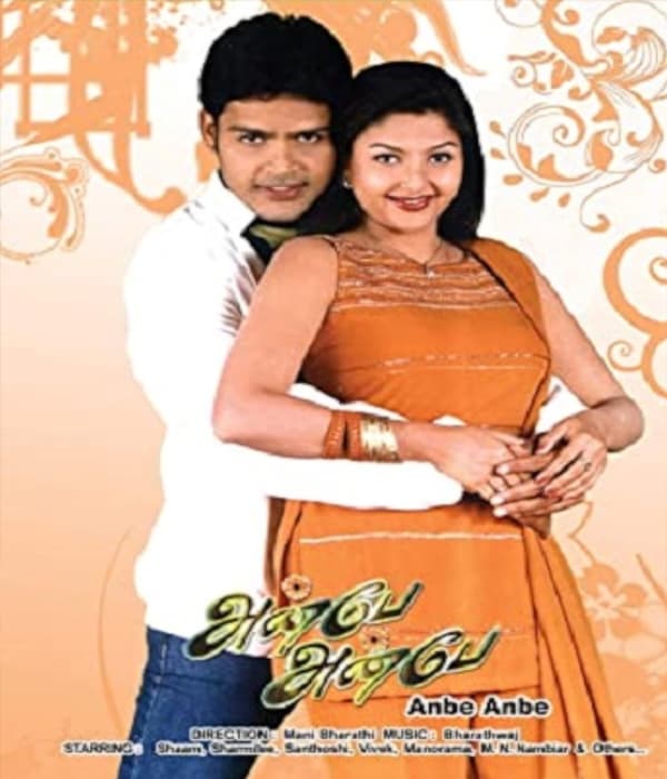 Anbe Anbe (2003) movie poster