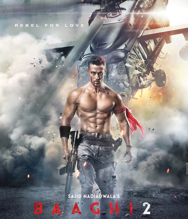 Baaghi 2 (2018) movie poster
