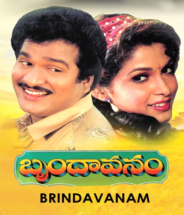 Brindavanam (1992) movie poster