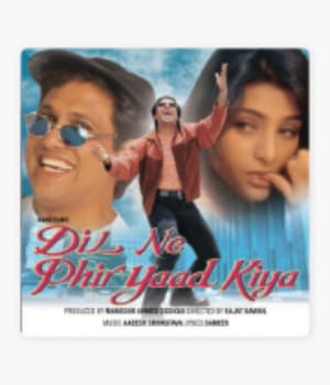 Dil Ne Phir Yaad Kiya (2001) movie poster