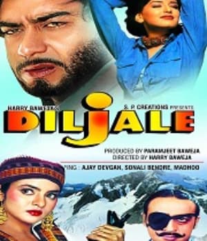 Diljale (1996) movie poster