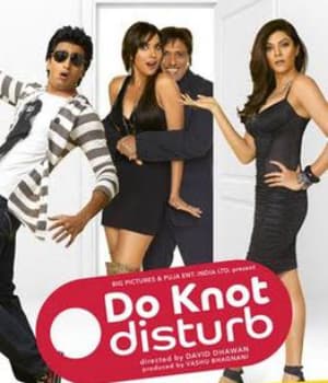 Do Knot Disturb (2009) movie poster