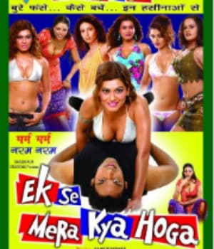 Ek Se Mera Kya Hoga (2006) movie poster