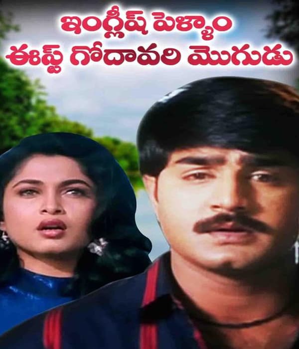 English Pellam East Godavari Mogudu (1999) movie poster