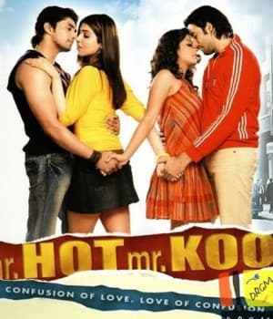 Mr Hot Mr Kool (2007) movie poster