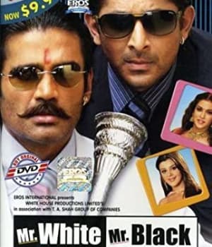 Mr White Mr Black (2008) movie poster