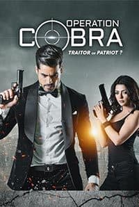 Operation Cobra (2019) movie poster