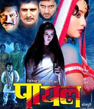 Payal (2010) movie poster