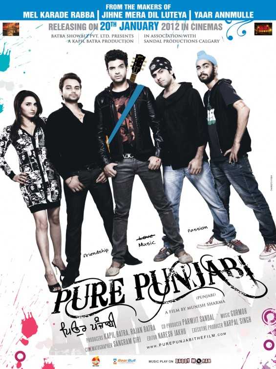 Pure Punjabi (2012) movie poster