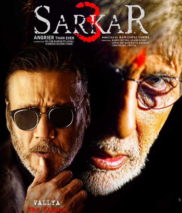 Sarkar 3 (2017) movie poster
