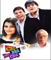 Tata Birla Ani Laila (2010) movie poster