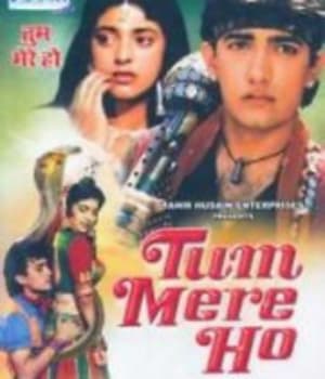 Tum Mere Ho (1990) movie poster