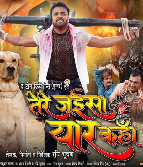 Tere Jaisa Yaar Kahan (2017) movie poster