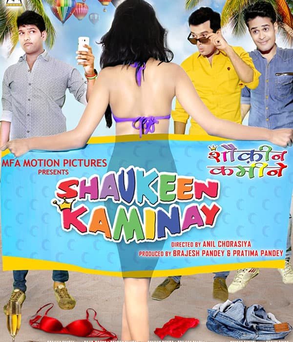 Shaukeen Kaminay (2016) movie poster