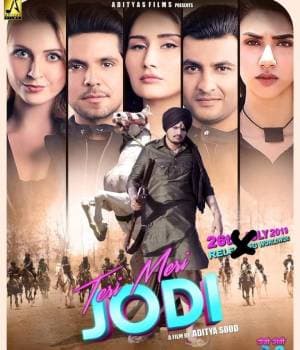Teri Meri Jodi (2019) movie poster