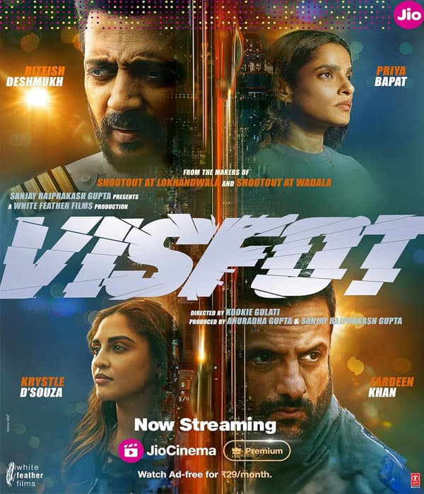 Visfot (2024) movie poster