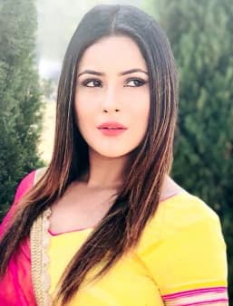 Shehnaaz Gill — Actress