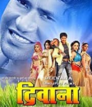 Deewana (2009) movie poster