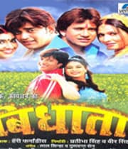 Vidhata (2008) movie poster
