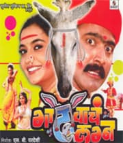 Gadhvache Lagna (2007) movie poster