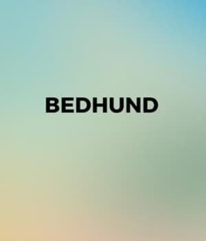 Bedhund (2009) movie poster