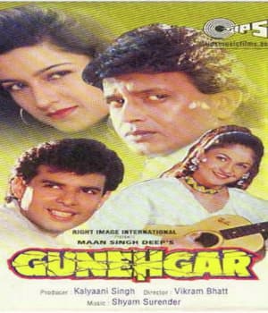 Gunehgar (1995) movie poster