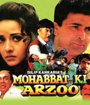 Mohabbat Ki Arzoo (1994) movie poster