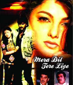 Mera Dil Tere Liye (1991) movie poster