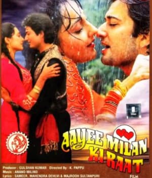 Aayee Milan Ki Raat (1991) movie poster