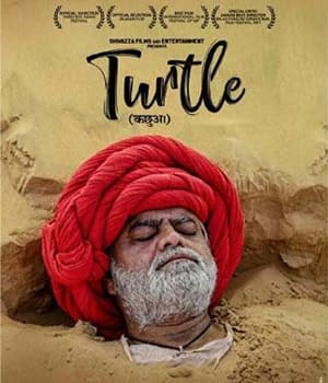 Turtle (2021) movie poster