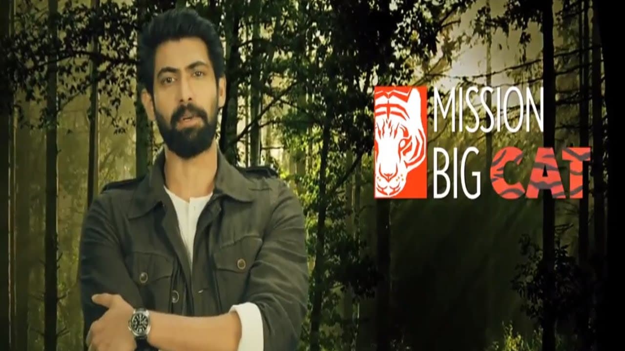 Let's Be Superheros To These Big Cats Tvc