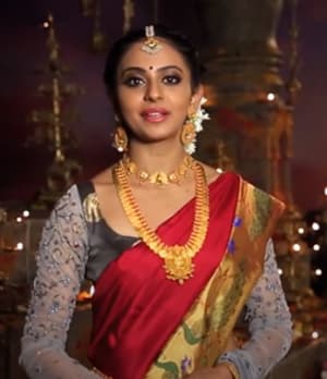 Vaibhav Jewellers