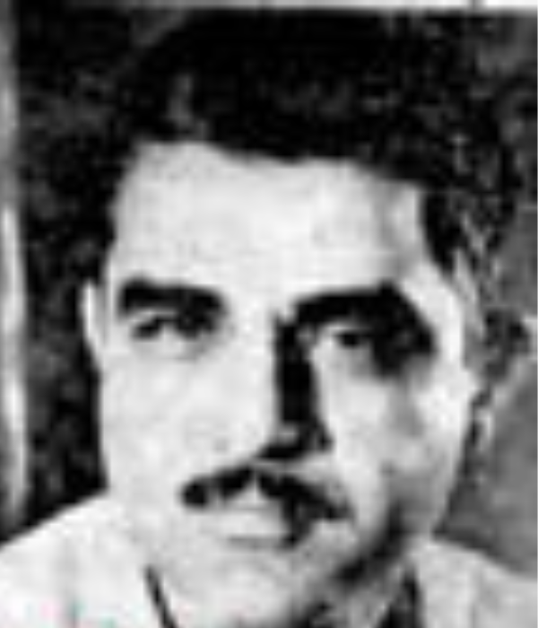 Melli Irani