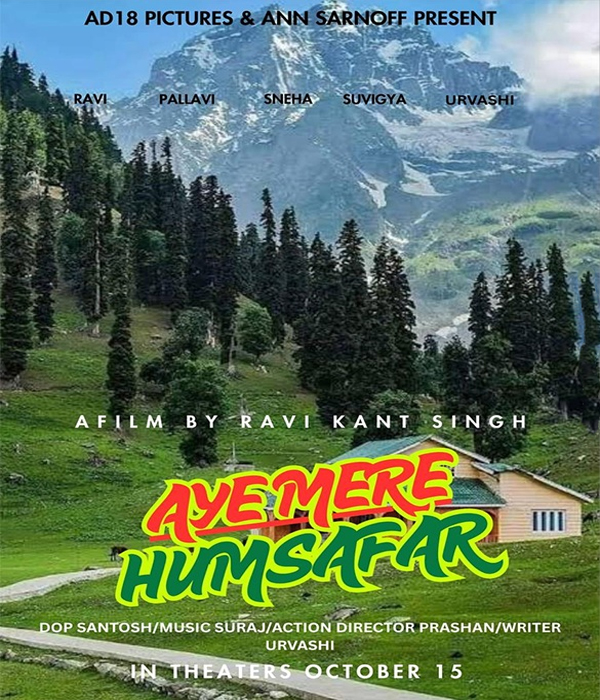 Aye Mere Humsafar