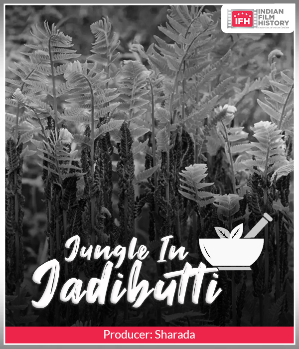 Jungle In Jadibutti