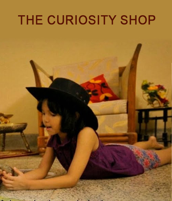 The Curiosity Shop