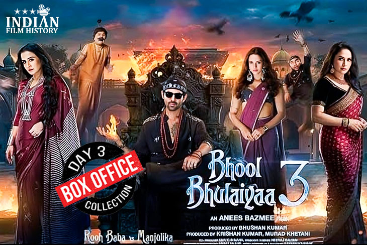 100 Cr Collection Crosses Of Bhool Bhulaiyaa 3 Movie Because Of Kartik Aaryan