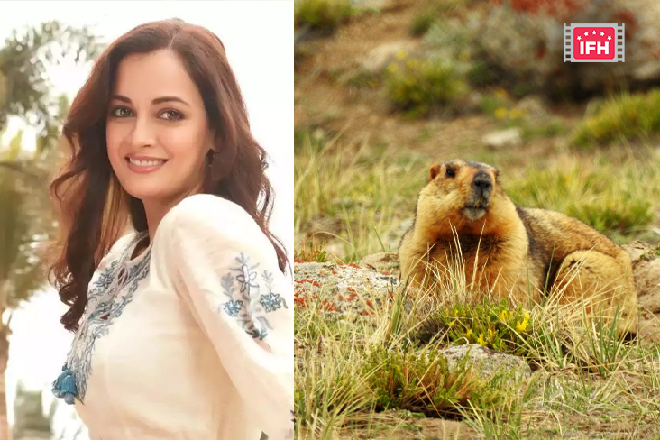 Dia Mirza Shared Beautiful Nature Pictures While Filming For Dhak Dhak