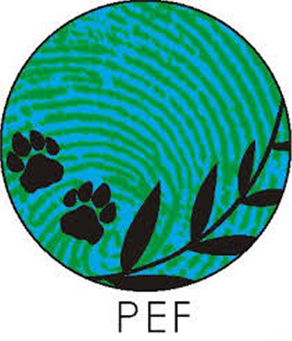 Protecterra Ecological Foundation