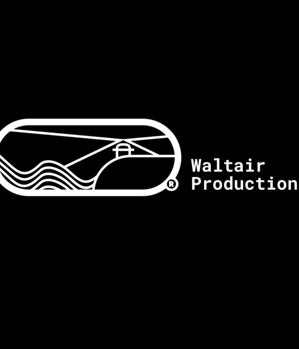 Waltair Productions