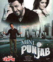 Mini Punjab