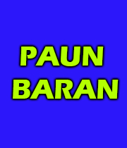 Paun Baran