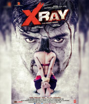 X Ray - The Inner Image