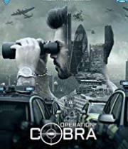 Operation Cobra