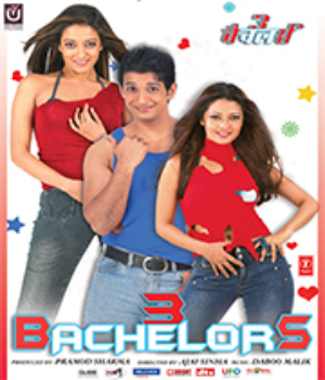 3 Bachelors