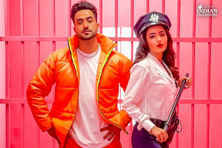 Jasmin Bhasin And Aly Goni All Set To Work Together In 5 Projects